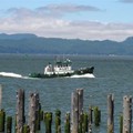 Pilot Boat on the move